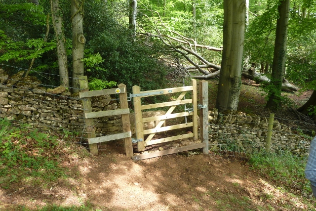 The new SLR Pedestrian Gate in Lady's Wood.