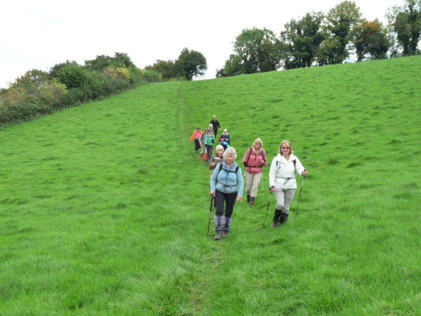 Group descending a grassy slope early in the walk.