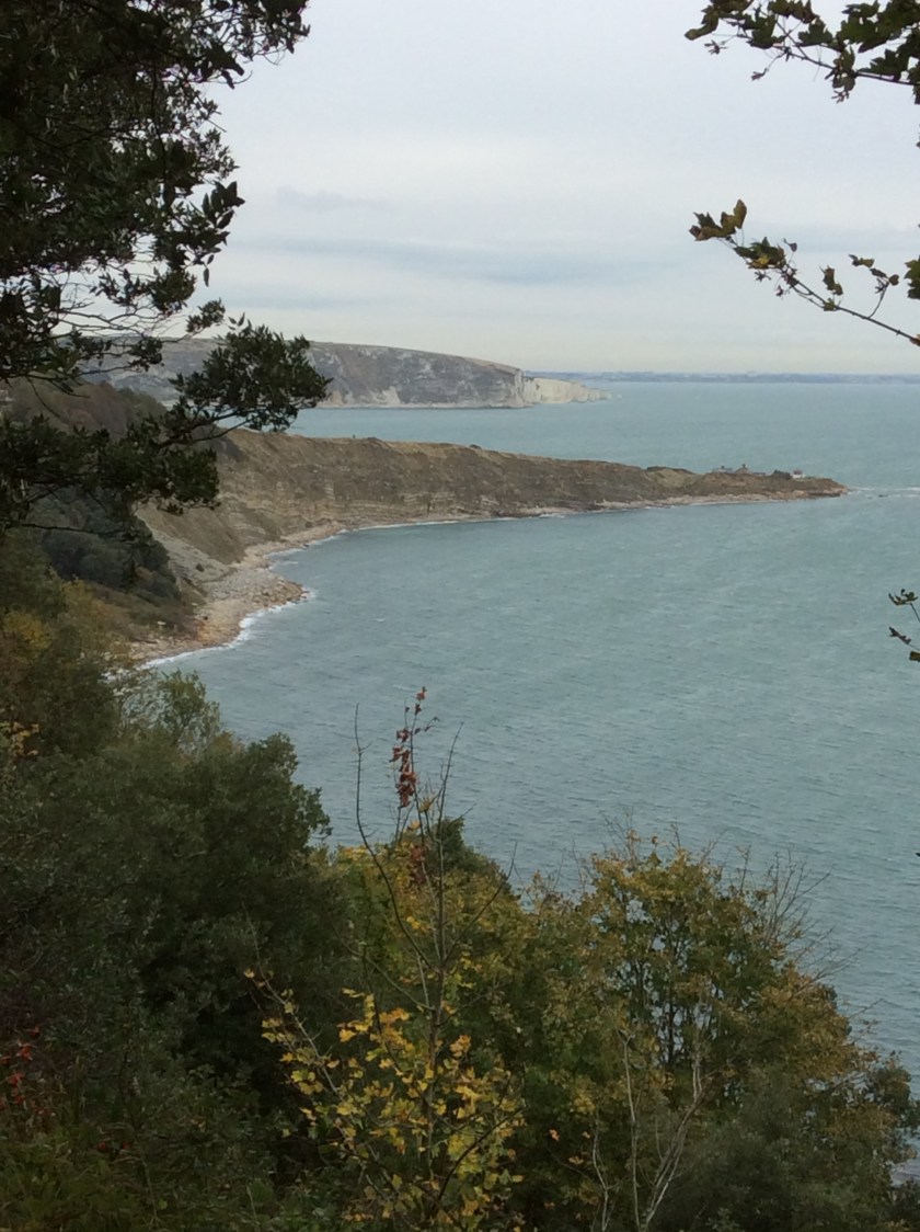 View of coastline from the SWCP just outside Swanage