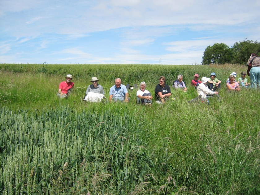 Part of the group of 16 walkers taking a break in lovely sunshine