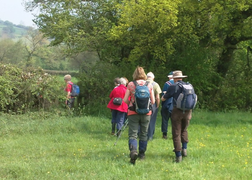 Group walking towards the lake early in the walk.