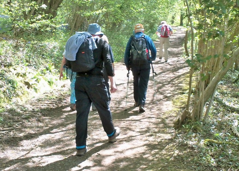 Group climbing up the Cotswold Way through Hailes Wood in wonderful sunshine!