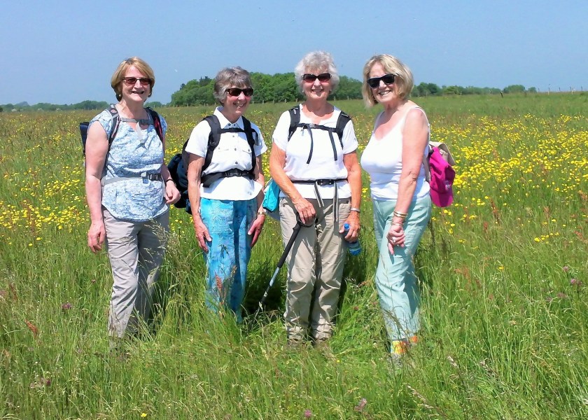 Four happy ladies in their shades -haven't Pam's People aged well !