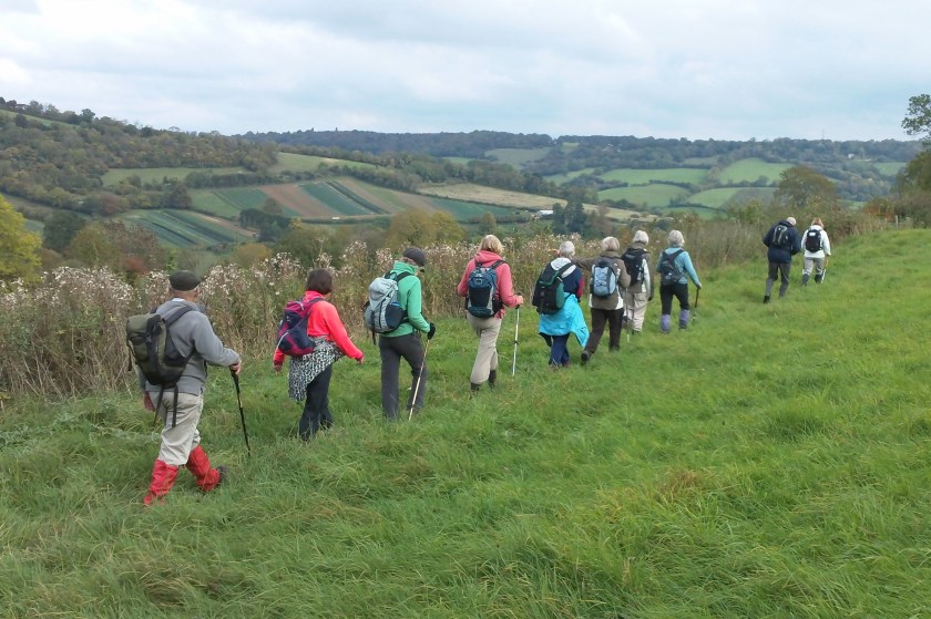 group marching along in single file behind the leader!