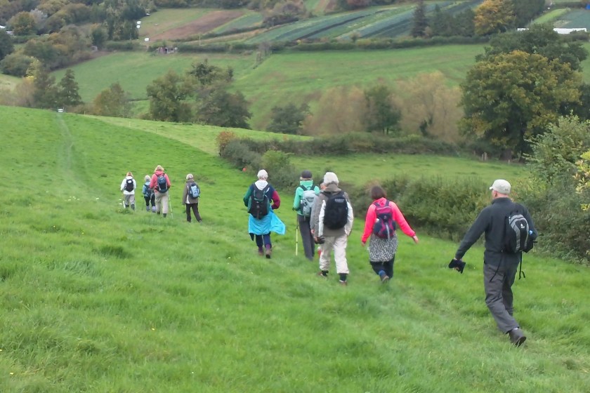Group again descending grassy slopes.