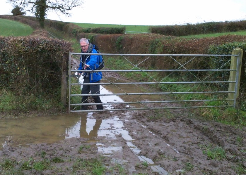 David skillfully closing the farmers gate without disappearing into the mud!