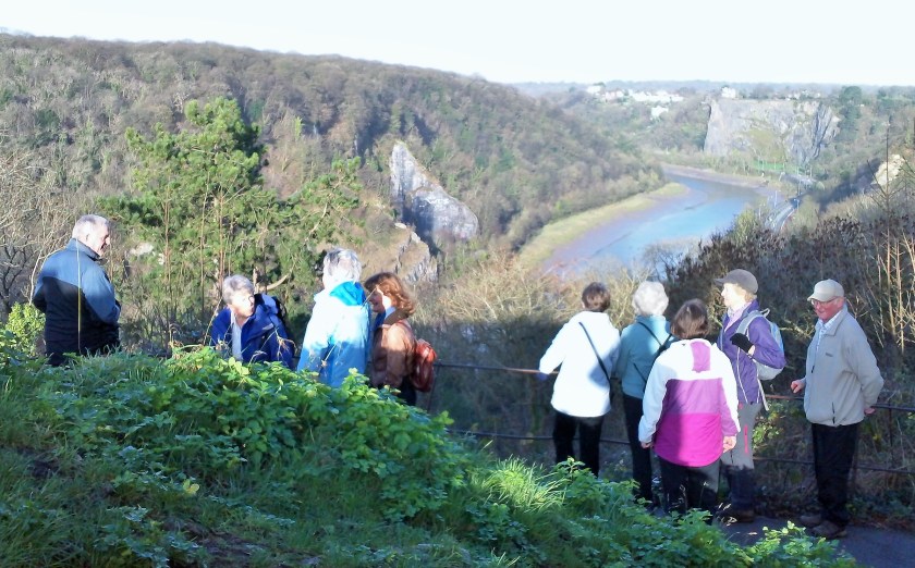 Group walking above the Avon Gorge on the way to Clifton