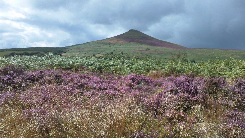 Looking back at Sugar Loaf during the descent -A wonderful sight!