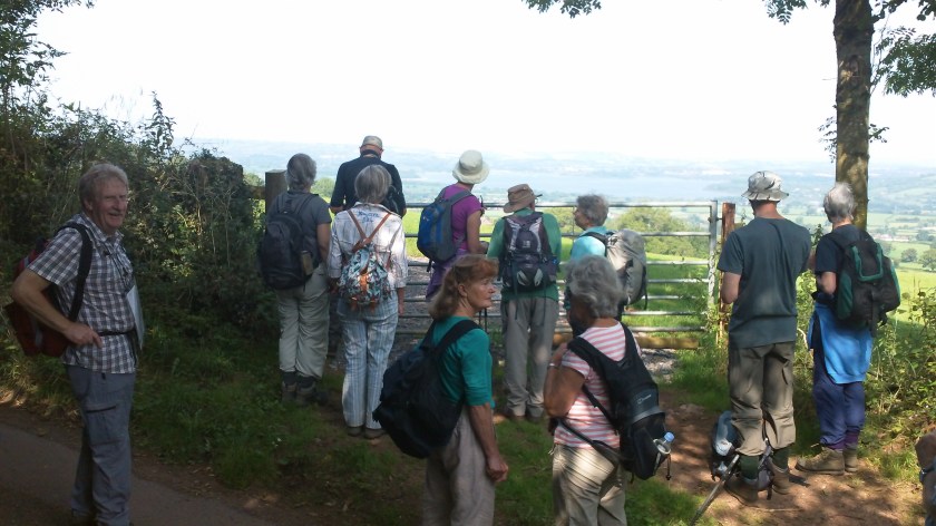 Group enjoying the view over Chew Valley Lake from above Compton Martin