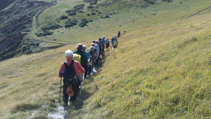 Another long descent in single file.