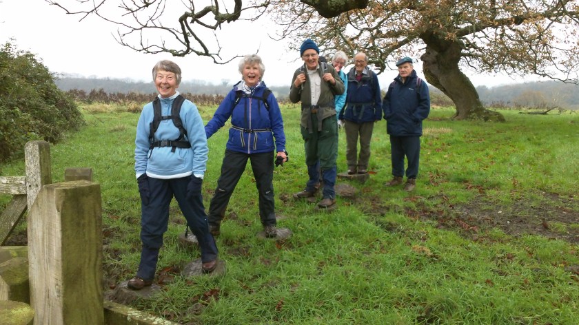 Members happily negotiate the field Stepping Stones during the walk.