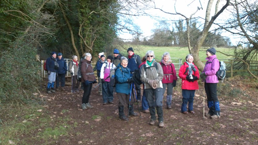 Group posing for photo during second part of the walk.