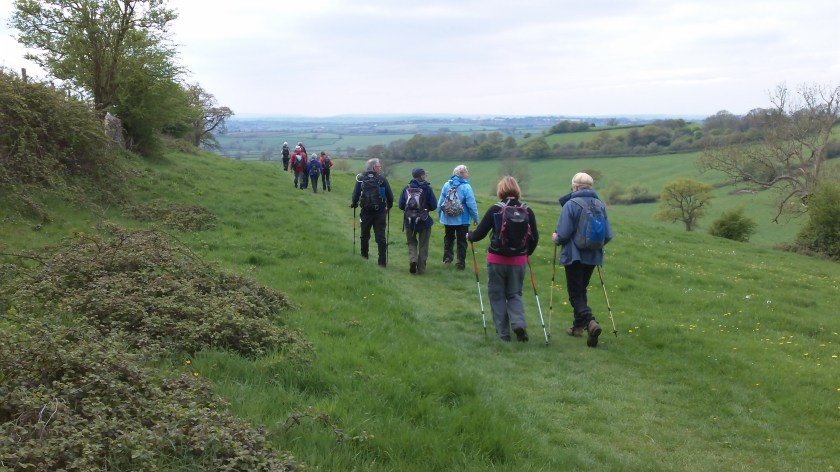 Group on the Cotswold Way at the edge of Dyrham Park estate