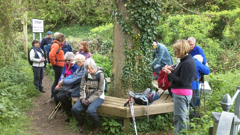 Group resting towards end of walk on way back to the Toghill Picnic Site/Car Park