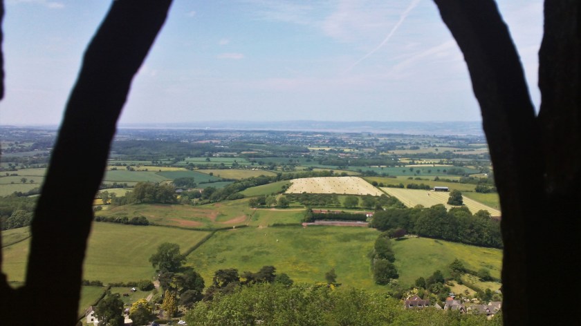 View from the top of the Monument