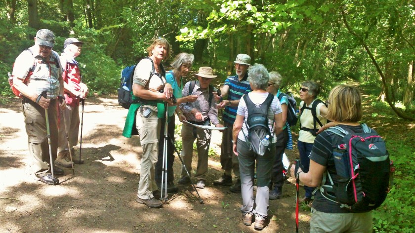 Group gather for intense map reading training!