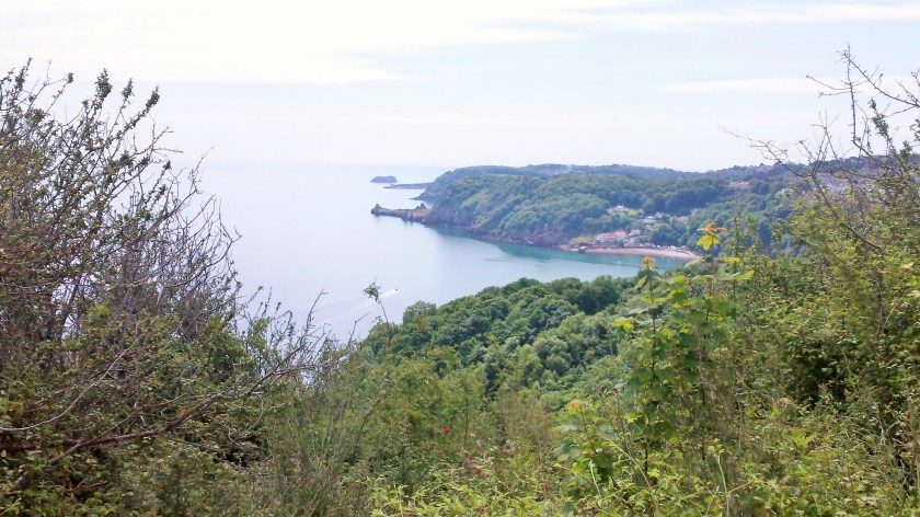 View of coast from SWCP at start of the long walk