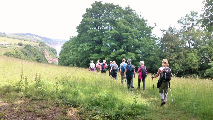 Group setting off along SWCP at start of the walk