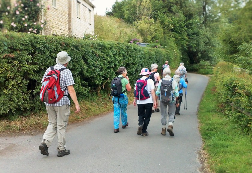 Group walking in fine weather towards Lower Killcott early in the walk.
