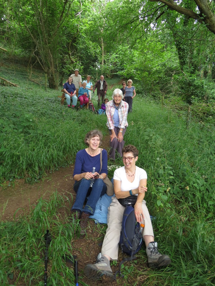 Group having refreshment break in woods near Cadbury Camp