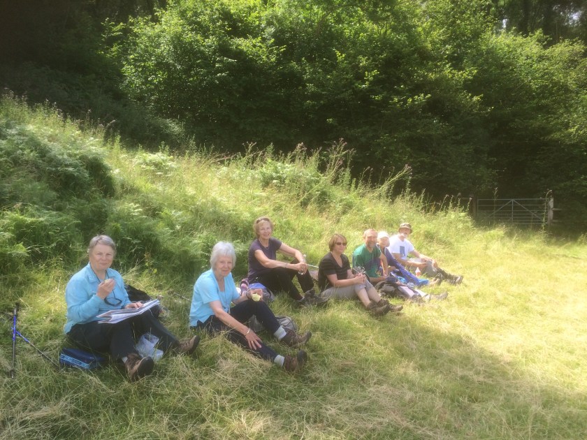 Group relaxing at lunchtime in the sunshine