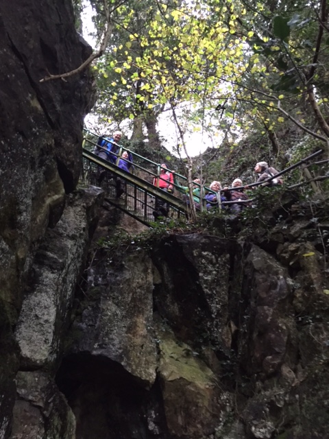 Group posing on the ladder staircase