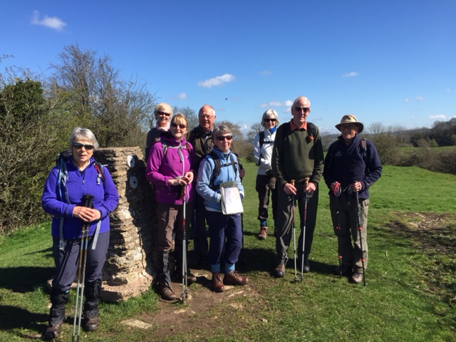 Group shot of the walkers during the walk