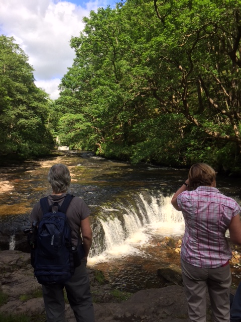 Gill and Sue surveying the scene at the end of the walk.