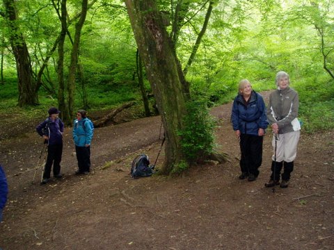 Group taking breaking in woods during the walk.