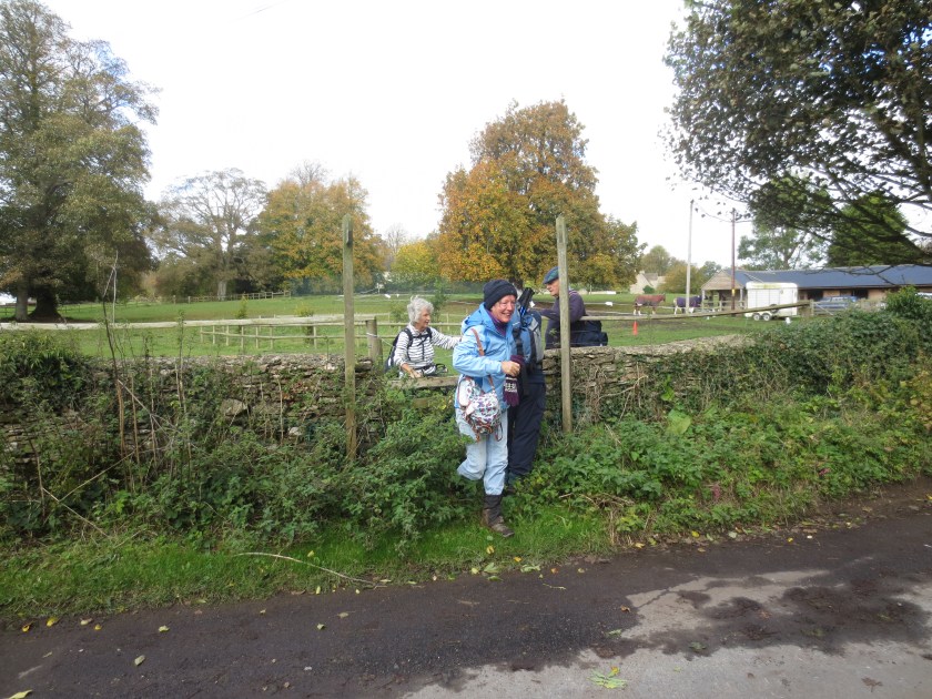 Group led by Helen coming through a stile.