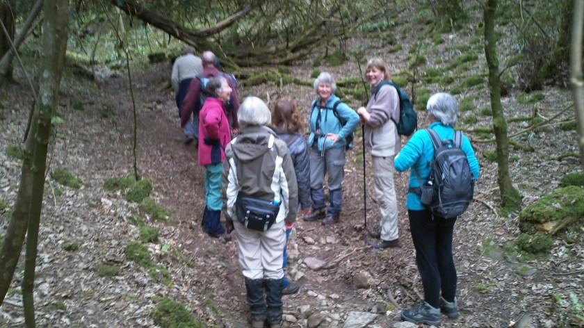 Group in the woods adjoining the Tyntesfield Estate