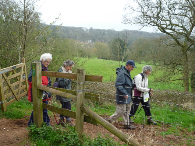 Walk leader Pat leading the way around the Tyntesfield Estate