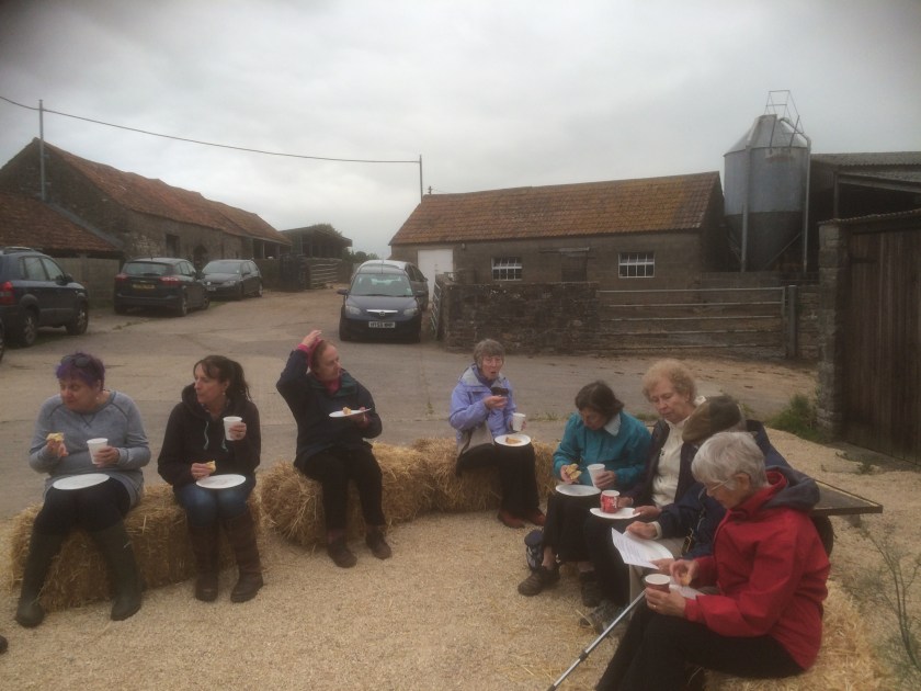 Straw bales used as seating in the refreshments area.